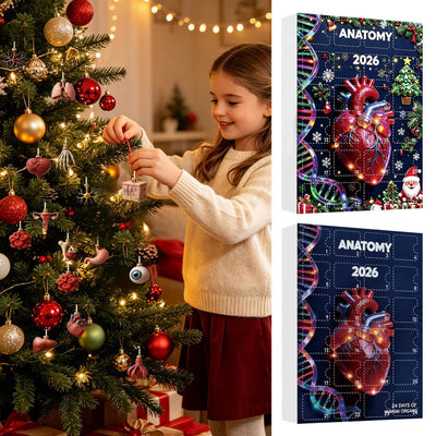 Anatomie Adventskalender 2026 | 24 Organe als Weihnachtsanhänger