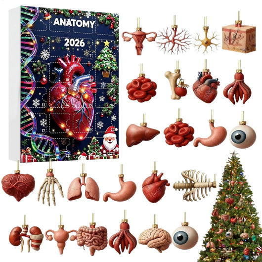 Anatomie Adventskalender 2026 | 24 Organe als Weihnachtsanhänger
