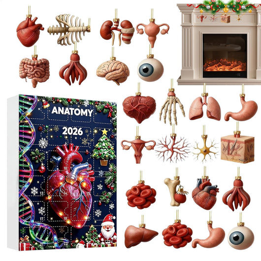 Anatomie Adventskalender 2026 | 24 Organe als Weihnachtsanhänger