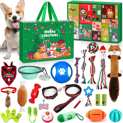 Hund Adventskalender 2026 | 24 Geschenke für den Hund mit Leine