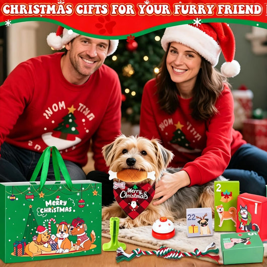 Hund Adventskalender 2026 | 24 Geschenke für den Hund mit Leine