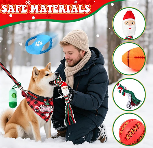 Hund Adventskalender 2026 | 24 Geschenke für den Hund mit Leine