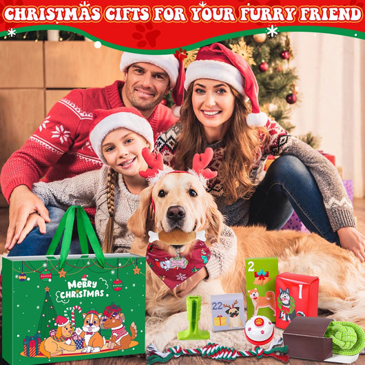 Hund Adventskalender 2026 | 24 Geschenke für den Hund mit Leine