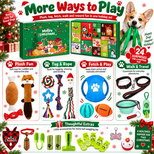 Hunde Adventskalender 2026 | 24 Spielzeuge für den Hund
