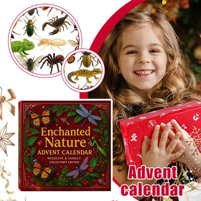 Insekten Adventskalender 2026 | 24 Krabbeltiere und Wildtiere