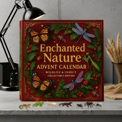 Insekten Adventskalender 2026 | 24 Krabbeltiere und Wildtiere