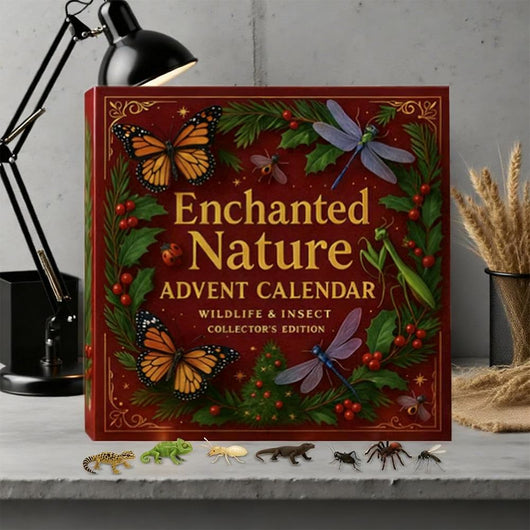 Insekten Adventskalender 2026 | 24 Krabbeltiere und Wildtiere