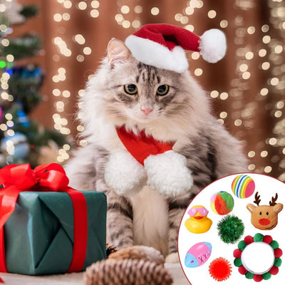 Katzen Adventskalender 2026 | 24 Spielzeuge für die Katze